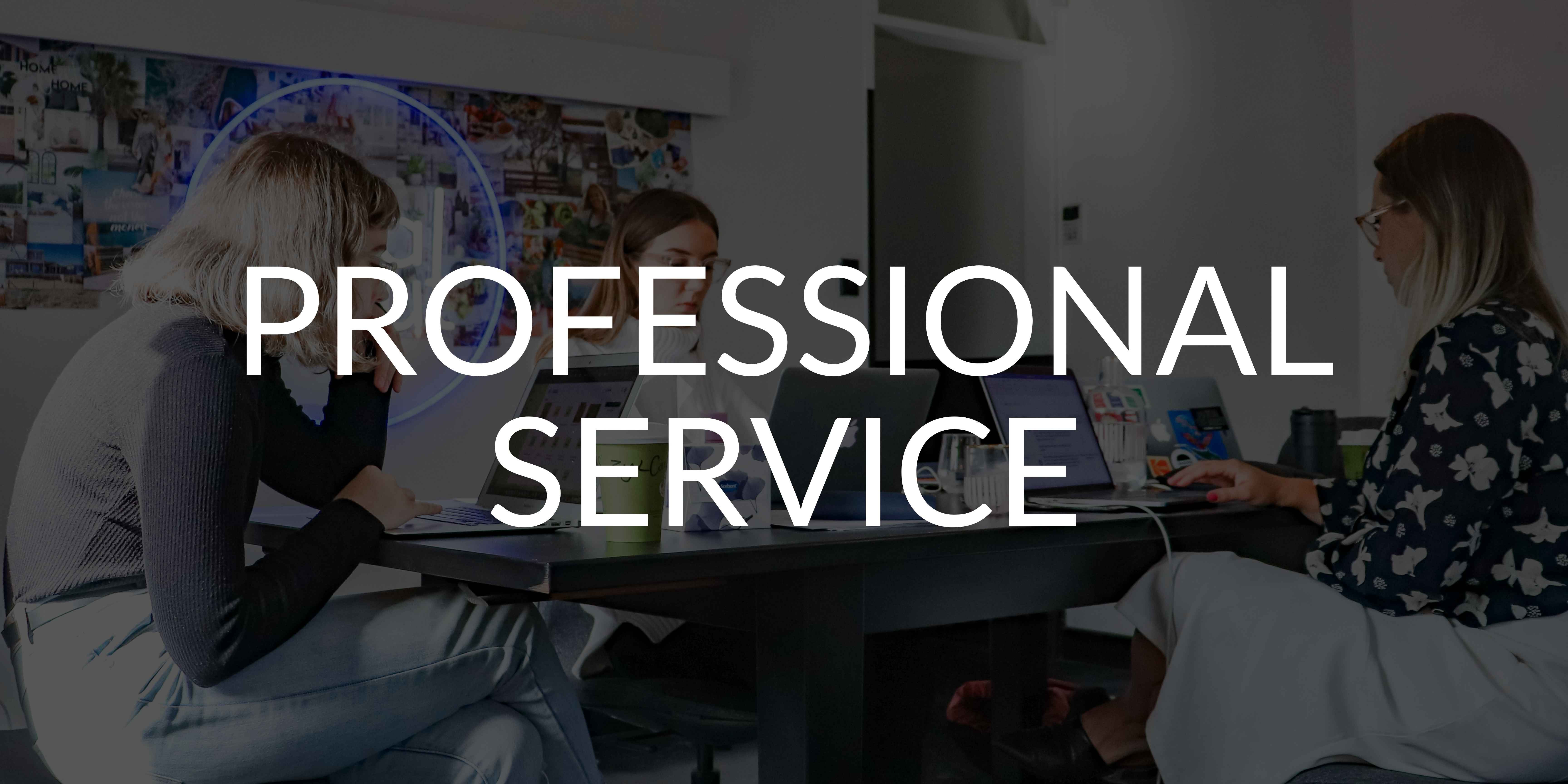 professional services 